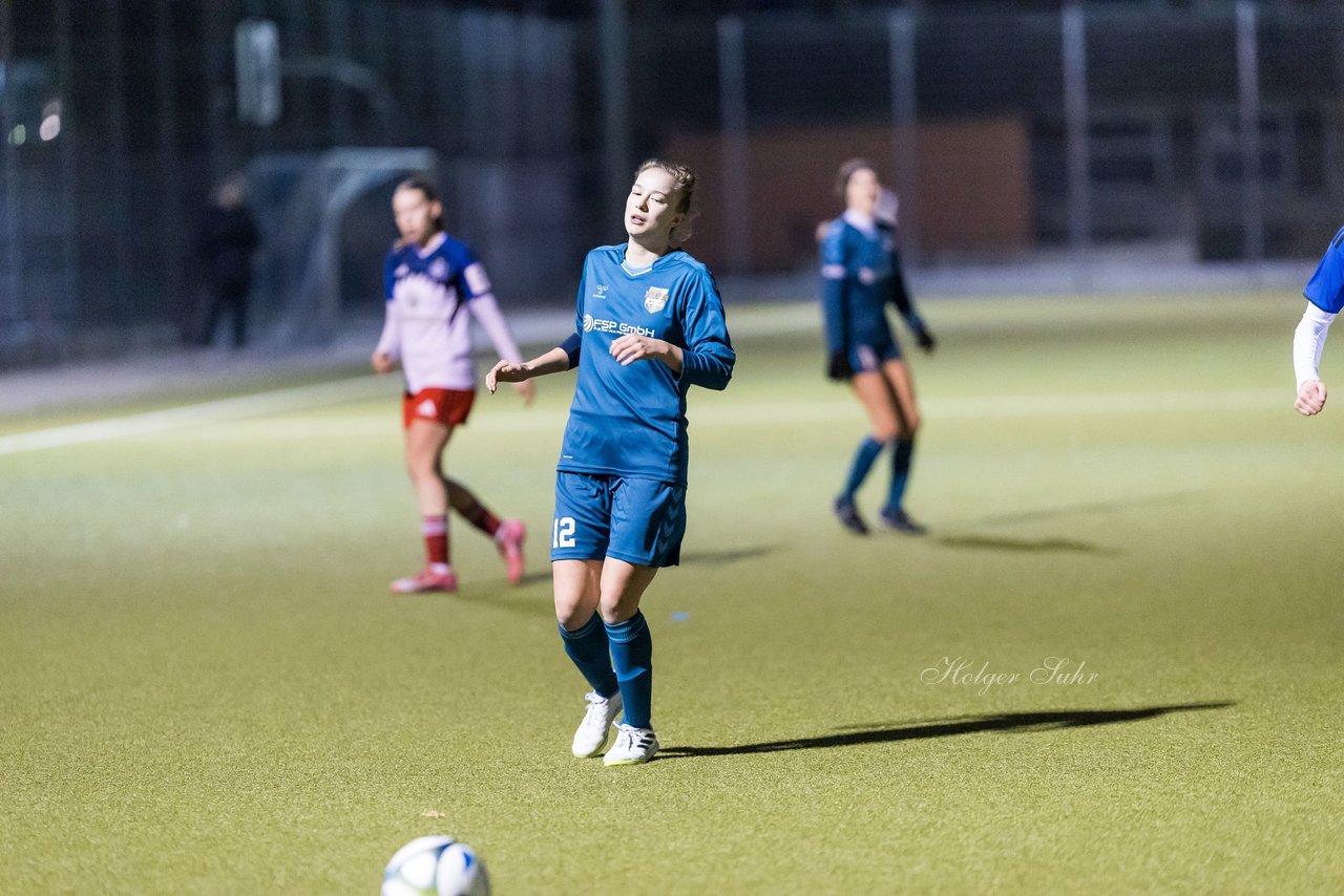 Bild 226 - F SC Alstertal-Langenhorn - Hamburger SV 3 : Ergebnis: 2:2